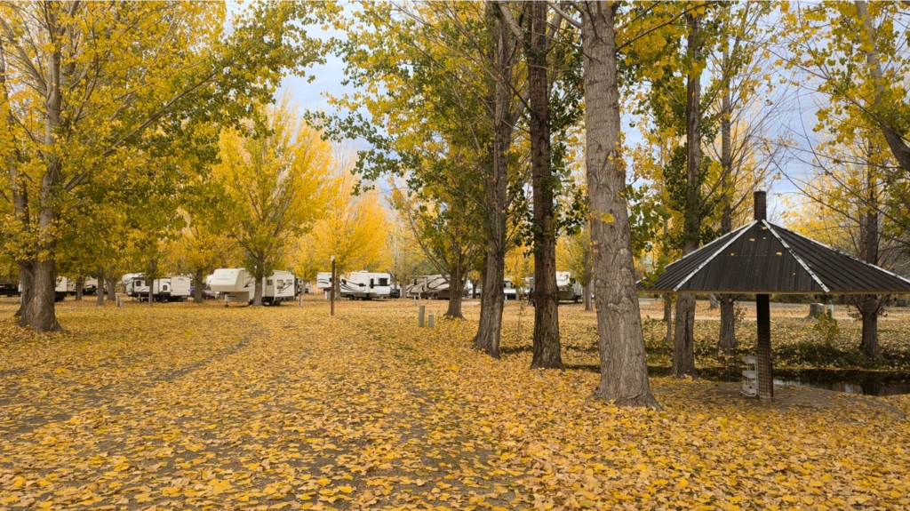 Uncompahgre River RV Park